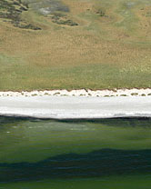 Segment 1726 grösser zeigen