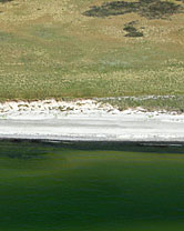 Segment 1729 grösser zeigen