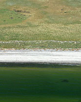  Segment 1731 grösser zeigen