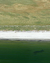 Segment 1732 grösser zeigen