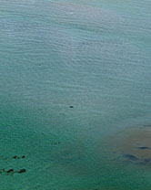 Segment 1755 grösser zeigen