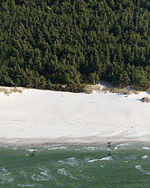 Segment1826 grösser zeigen