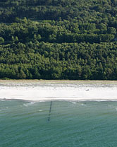 Segment 1963 grösser zeigen