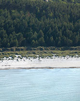 Segment 2029 grösser zeigen