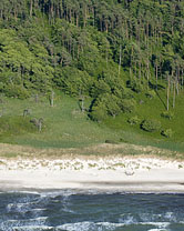  Segment 2098 grösser zeigen