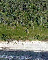 Segment 2099 grösser zeigen