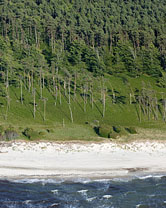 Segment2100 grösser zeigen