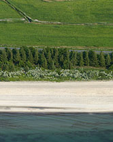 Segment 2157 grösser zeigen