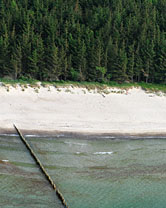  Segment 2384 grösser zeigen