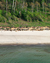  Segment 2395 grösser zeigen