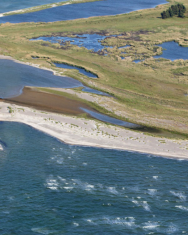 Fischland Darrs Zingst von oben