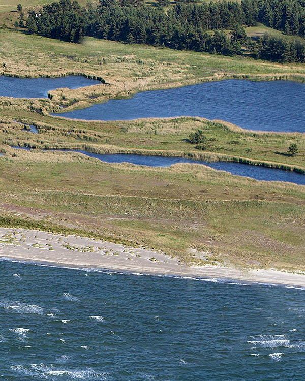 Fischland Darrs Zingst von oben
