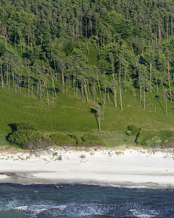 Fischland Darrs Zingst von oben