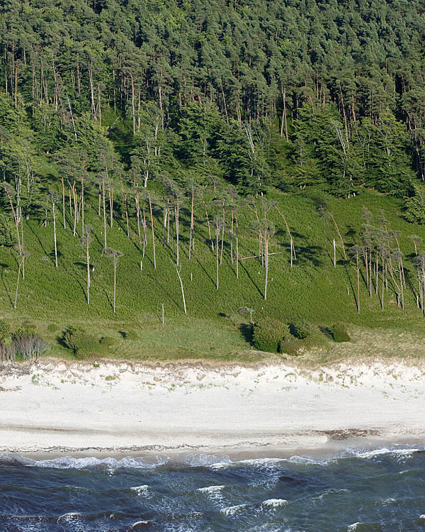 Fischland Darrs Zingst von oben