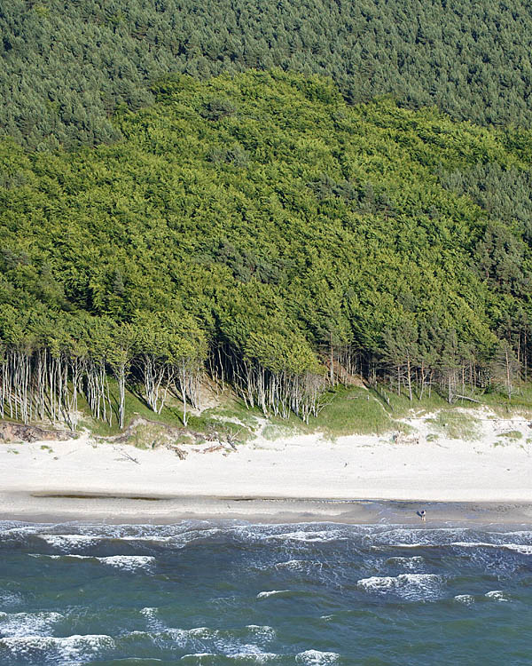 Fischland Darrs Zingst von oben